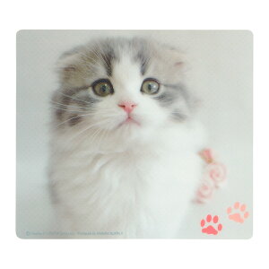 TTvC }EXpbh(XReBbVtH[h) MPD-215E