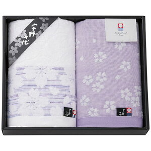 �F���� �t�F�C�X�^�I��2���Z�b�g �u���[ 2879-029