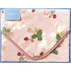 EFbWEbh ChXgx[ ANЂ|(щH) sN C5091017