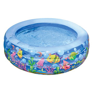 W[ ANGAv[ ^K[fv[E^C 152×50cm JL-688420