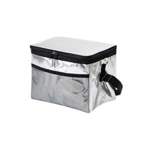 ATqm \tgN[[obO A~ W[EX|[cɕ֗ȕۗobO 6L MMT49168