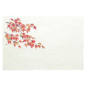 }R[ p Ɩp 3_a΂܂ lG gt (50) yamaco64381