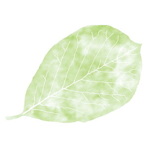 }R[ p Ɩp 3lGʂ܂ ̗t^ قt (50) yamaco66778