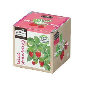 ARTEC �G�R�͔|�L�b�g Re:Green ���C���h�X�g���x���[ �Ò����琶�܂ꂽ�Đ��|���G�X�e���|�n �y������ĂĂ��������G�R ATC102973