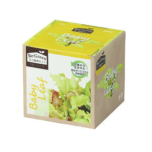 ARTEC �G�R�͔|�L�b�g Re:Green �x�r�[���[�t �Ò����琶�܂ꂽ�Đ��|���G�X�e���|�n �y������ĂĂ��������G�R ATC102976