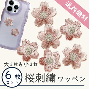 y 1000~|bL  zyV[^Cvz  by 6 V[ AC p 6 Zbg 3 3Zbg IWi  킢 AbvP  q ̎q  w 