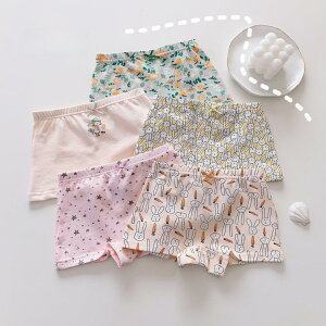 y5Zbgz̎q LbYV[c 100 ɗD {NT[pc  qpCi[ ʋC Lk z 킢 ETM   ؍q 100cm 110cm 120cm