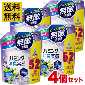 【4個セット】ハミング消臭実感 アクアティックフルーツの香り 5.2倍 2000ml 柔軟剤 つめかえ用【まとめ買い】【送料無料】