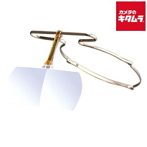 SABAE LOUPE SLB-00120PG ΂[y sNS[h2.0{