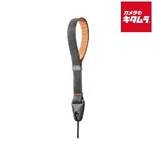 PGYTECH P-CB-125 JXgXgbv fB[vO[