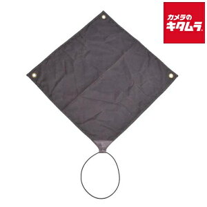 Gc~ CDC-010 bsONX O[