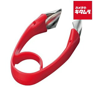 H w^sR txW FV-601 s[2Tԁt