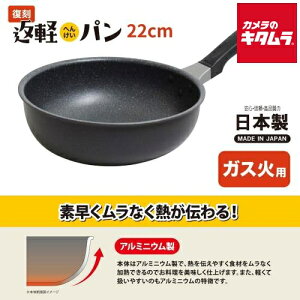 EV} FHP-F22 tCp 22cm Ԍyp KXΐp [^ {  V 