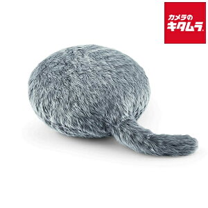 Qoobo ۂӂ NbV^ Zs[{bg nXL[O[