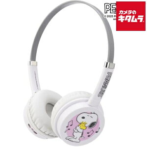 �^�C�v�c�[ T2-S2SNPHSL-WH SWITCH2/PC�p �X�k�[�s�[�w�b�h�Z�b�g ���C�g[�z���C�g] �s�[����3�|4�T�ԁt