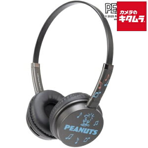 �^�C�v�c�[ T2-S2SNPHSL-BK SWITCH2/PC�p �X�k�[�s�[�w�b�h�Z�b�g ���C�g[�u���b�N] �s�[����3�|4�T�ԁt