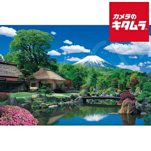 G|bN 09-051S WO\[pY 1000s[X xmRƔE쑺-R s[1|2Tԁt