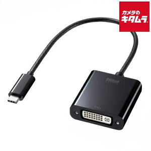 サンワサプライ AD-ALCDV USB Type C-DVI変換アダプタ