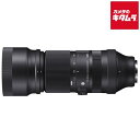 シグマ 100-400mm F5-6.3 DG DN OS Contemporary ソニーFE用