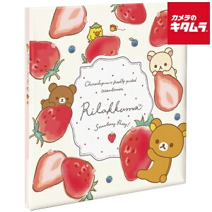 iJoV A-LP-145 LTCYtGAo vR[g䎆ijbN}