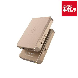 HIDIZS DAC�A���v DH80S �V�����p���S�[���h �s�[����2�T�ԁt