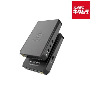 HIDIZS DACAv DH80S ubN s[2Tԁt