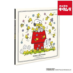 iJoV A-LP-148 LTCYtGAo vR[g䎆ij Xk[s[ N[