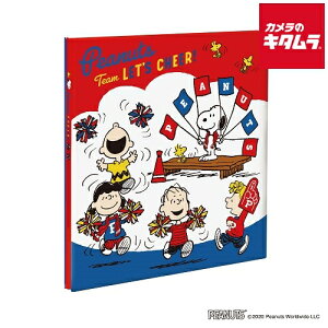 iJoV A-LP-149 LTCYtGAo vR[g䎆ij Xk[s[ bh