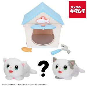 ^Jg~[ }WJDIY ɂ񂱂Ƃ s[t