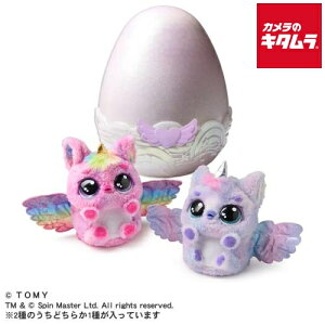 ^Jg~[ ܂āIE[ ACu ptBR[ s[3Tԁt