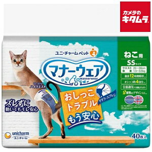 jE`[ }i[EFA lRp SSTCY 40 s[2Tԁt