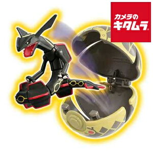 ^Jg~[ |PbgX^[ R |Pf[ bNEU(ɂ̃X^[{[) s[1|2Tԁt