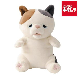 JCHw Ê݃{bg Ê݃nni䂸/~PlRj v[g Mtg NX}X a o[Xf[ p[eB[ Cxg ii w  j  ߋ  gC 蕨