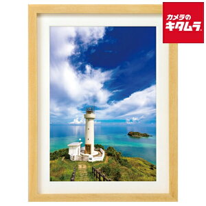 nNo FWMM01-NTA4 ؐz A4 i` s[2|3Tԁt