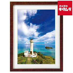 nNo FWMM01-BRA4 ؐz A4 uE