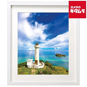 nNo FWMM01-WT4 ؐz 4 zCg