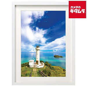 �n�N�o FWMM01-WTW4 �ؐ��z ���C�h4�� �z���C�g