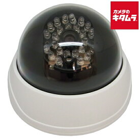 キャロットシステムズ alterplus ドーム型ダミーカメラ DD-128