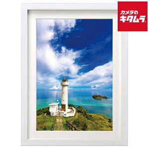 nNo FWMM01-WTA3 ؐz A3 zCg