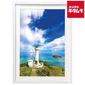 nNo FWMM01-WTA3N ؐz A3mr zCg