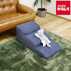 㓡ƋY hbOXebv 3i DG-STEP-3-BL u[