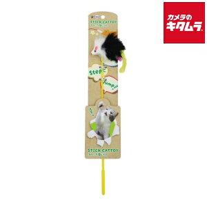 ybgvWp ˂ XeBbNL炵낭˂