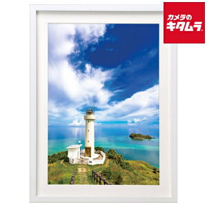 nNo FWMM01-WTA4A ؐz MM-01 A4AN zCg s[2|3Tԁt