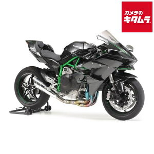 ^~ 14131 1/12 JTL Ninja H2R NO.31 s[1|2Tԁt