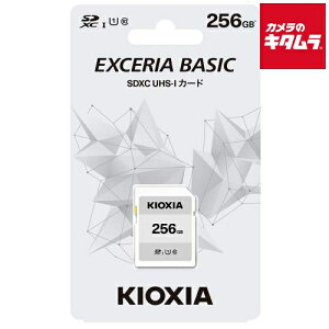 LINVA KSDB-A256G SDJ[h 256GB s[t