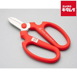 ⌹ Ԃ͂ nhNG[V F170 bh Ep 00142