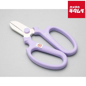 ⌹ Ԃ͂ nhNG[V F170 x_[ p 24142