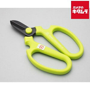 ⌹ Ԃ͂ nhNG[V F170 CO[ Ep n 62142