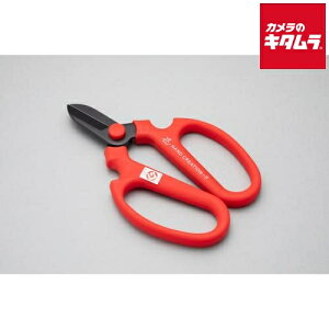 ⌹ Ԃ͂ nhNG[V F170 bh Ep n 09142