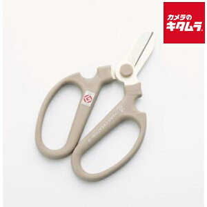 ⌹ Ԃ͂ nhNG[V F170 EH[O[ p 47142